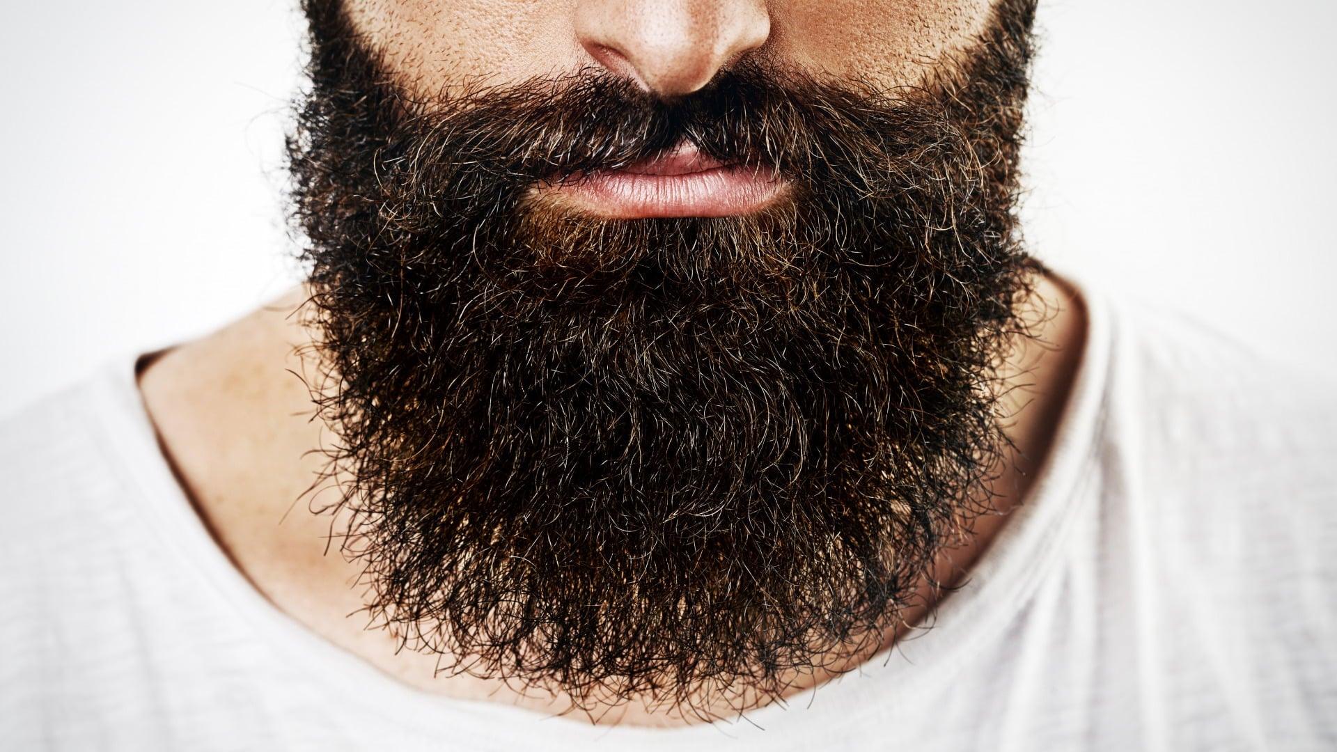 Essentials to keep your beard in Top Condition - Best-Beardcare