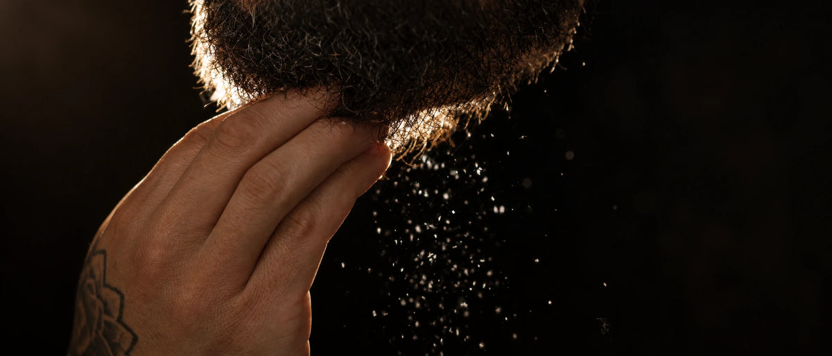 Small flakes falling from a beard as fingertips pass through it, against a dark background